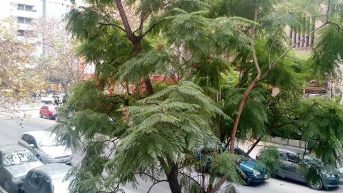 Apartamento Nueva C�rdoba Rondeau