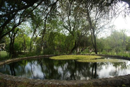 Lodge Magenta Complejo Caba�as & Spa