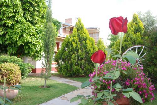 Apartamento El Olivo