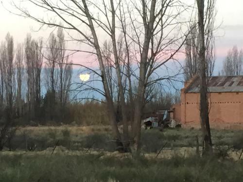 Lodge Sangiovese Caba�as