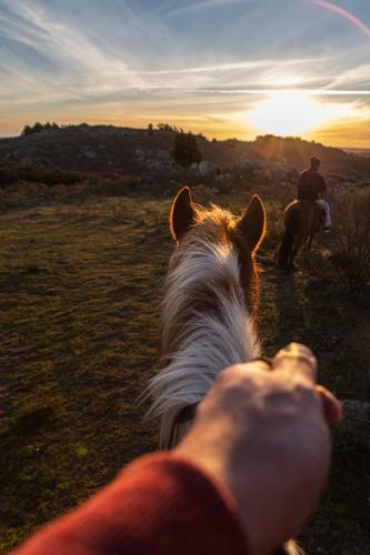 Hotel Ro Che Hil Tandil