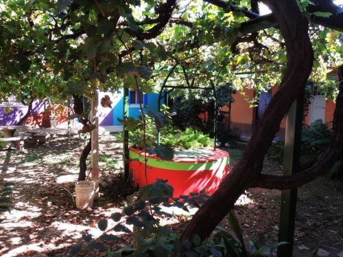 Apart-caba�as De La Plaza