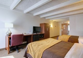Hotel Comfort Inn & Suites Madison