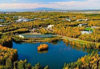 Hotel University Lakes Springhill Suites By Marriott