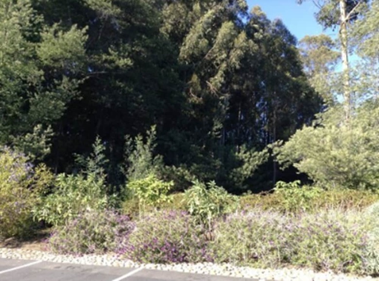 Hotel Inn At Pasatiempo