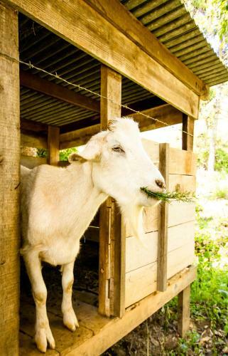 Agroturismo Pousada Villa Pinhal