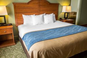 Hotel Comfort Inn South Oceanfront
