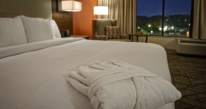 Hotel Hilton Knoxville Airport