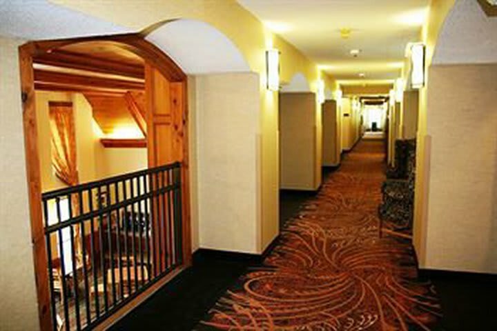 Hotel Hampton Inn & Suites Pineville