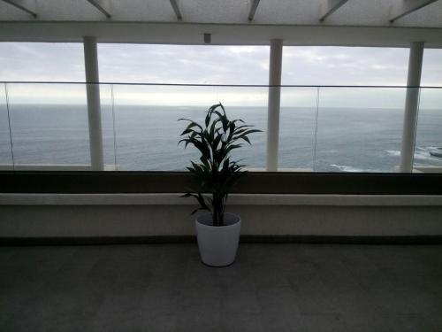 Vista Azul Apartments