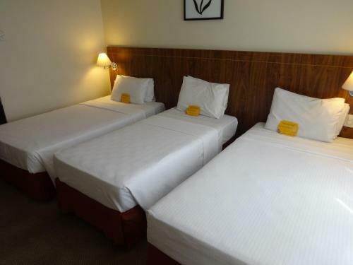 Hotel Park Inn By Radisson Taguatinga