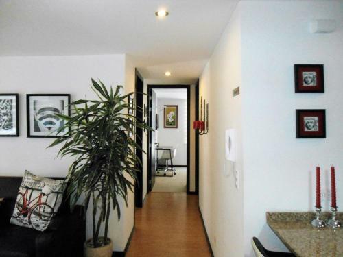 Central Apartments (plaza Foch)