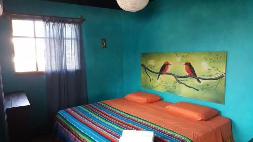 Albergue Hostal Galapagos Morning Glory