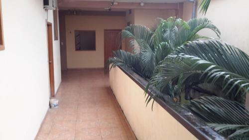 Hostal Las Amazonas Inn