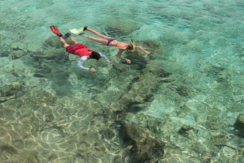 Hotel Divi Flamingo Beach Resort & Casino