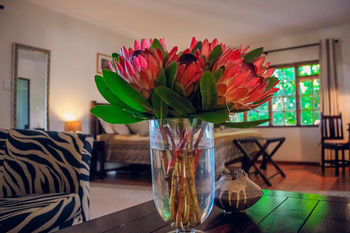 Albergue Amakhosi Guesthouse