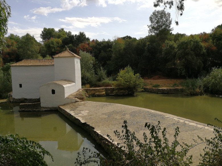 Hotel Oromana
