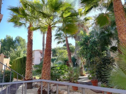 Apartamentos Mundaka Albir
