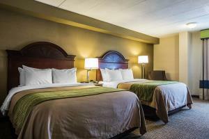 Hotel Comfort Inn Airport