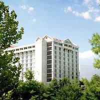 Hotel Radisson Branson