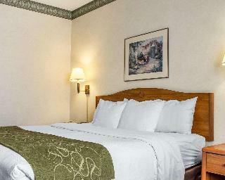 Hotel Comfort Suites At Metro Center