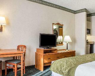 Hotel Comfort Suites At Metro Center
