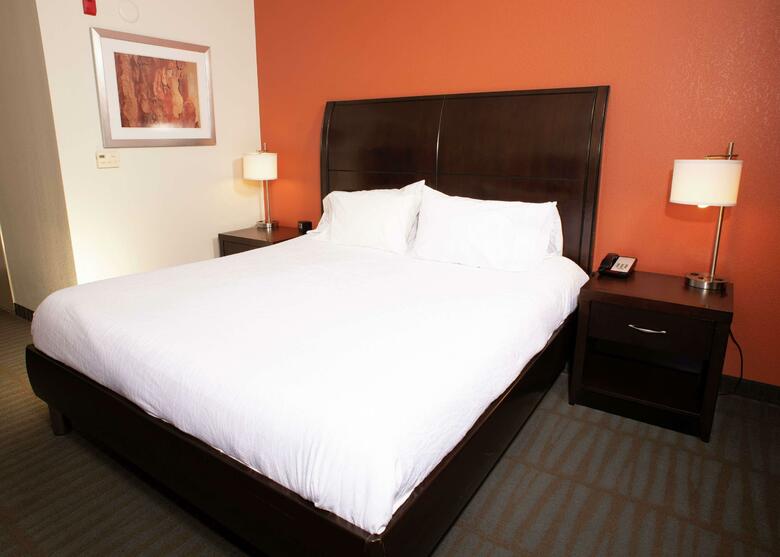 Hotel Hilton Garden Inn Springfield