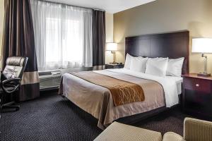 Hotel Comfort Inn & Suites