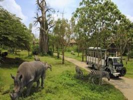 Hotel Mara River Safari Lodge