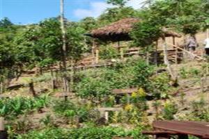 Hotel Celyn Resort Kinabalu