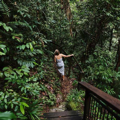 Hotel Daintree Eco Lodge & Spa