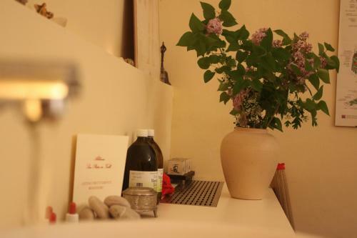 Bed & Breakfast Abbazia San Pietro In Valle
