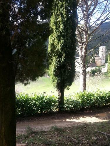 Bed & Breakfast Abbazia San Pietro In Valle