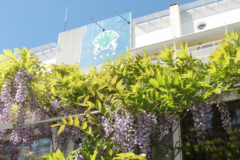 Bah�a De Alcudia Hotel & Spa