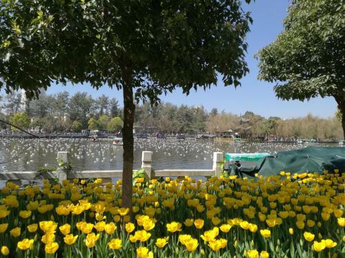 Kunming Green Lake Cottage