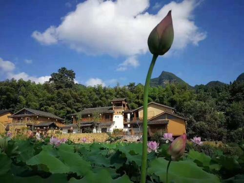 Posada Zhangjiajie Sweet Dream Inn