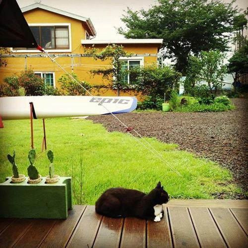 Hostal Basecamp Guesthouse