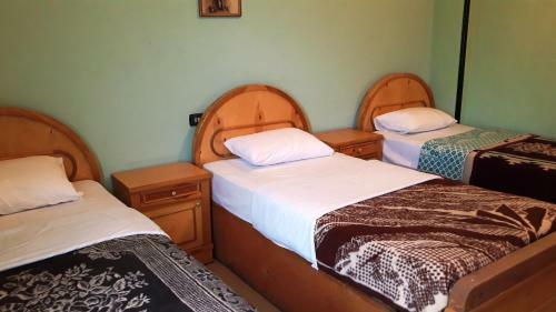 Hostal Senmut Luxor Hotel