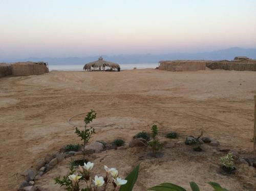 Posada Fayrouz Beach Camp