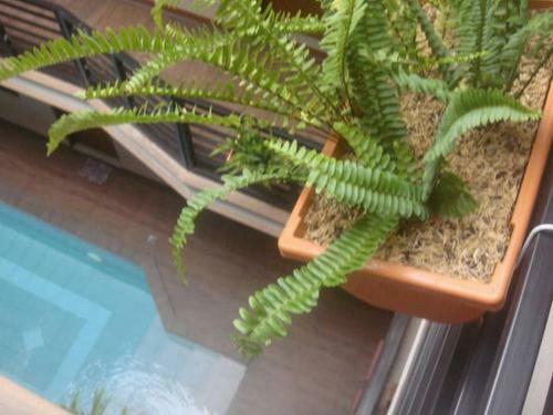 Hidden Pearl Hotel (janus Luxury Suites)
