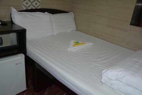 Hostal Everest Guest House (3/f)