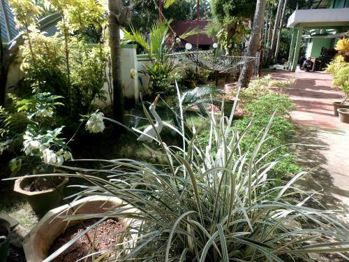 Hostal Green Garden Ayurvedic Resort