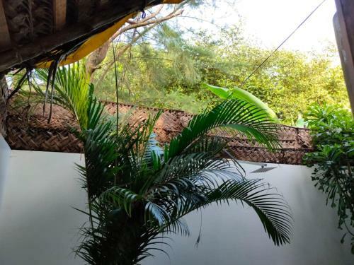 Hotel The Bay Agonda