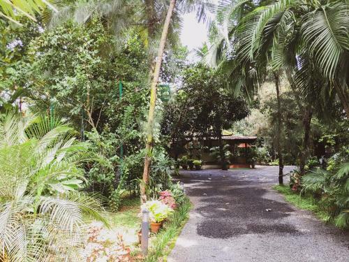 Bed & Breakfast Palm Grove Service Villa