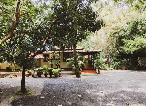 Bed & Breakfast Palm Grove Service Villa