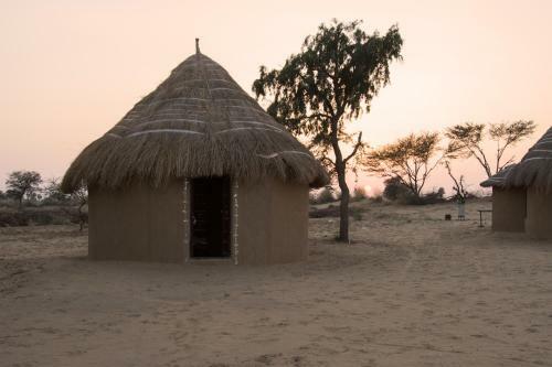 Rao Bika Ji Camel Safari