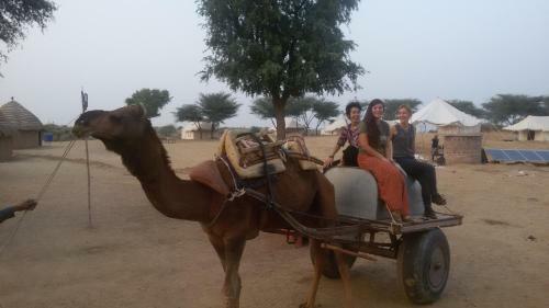 Rao Bika Ji Camel Safari