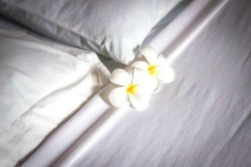 Lombok Indah Cottages