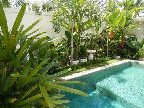 Waterlily Suites Sanur Villa