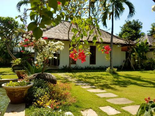 Hostal Lily Luxury Suites